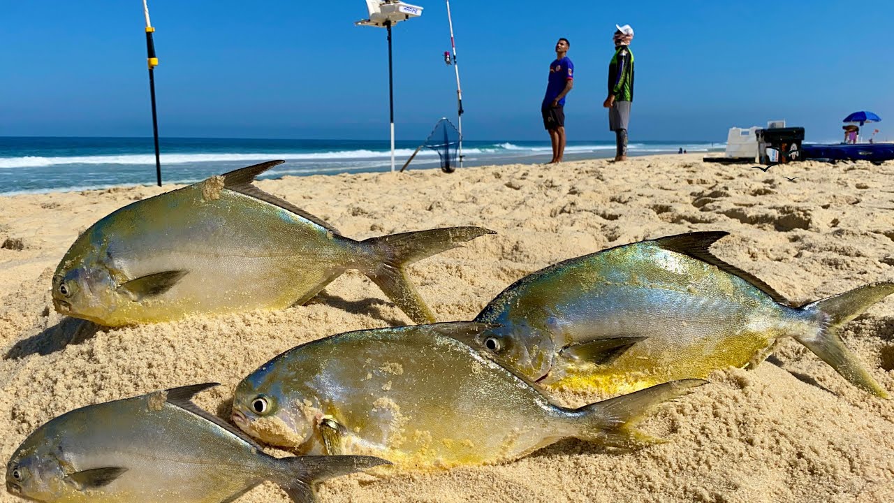 PESCA de PRAIA com TÉCNICAS que vão te ajudar a fisgar muitos PEIXES usando ISCAS NATURAIS