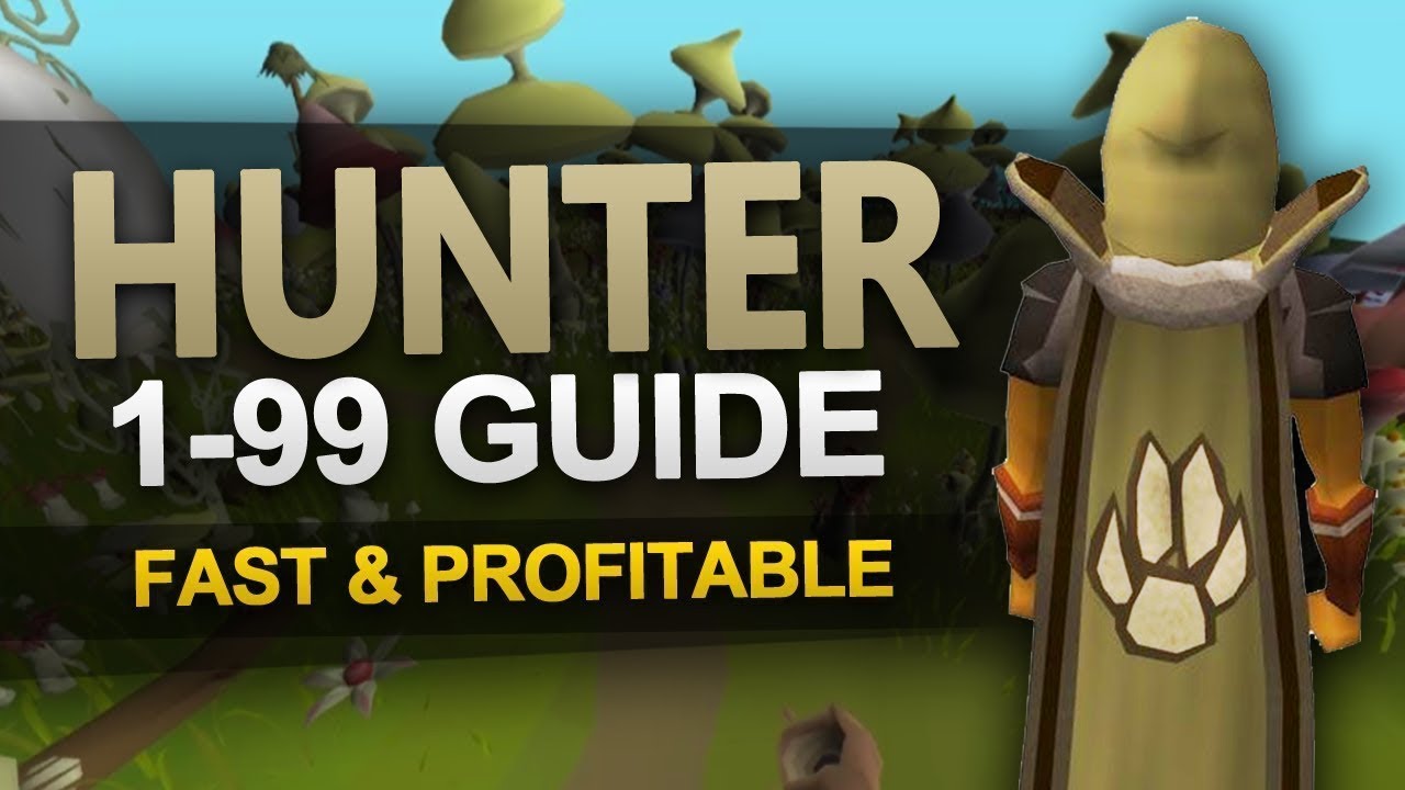 OSRS 1-99 Hunter Guide