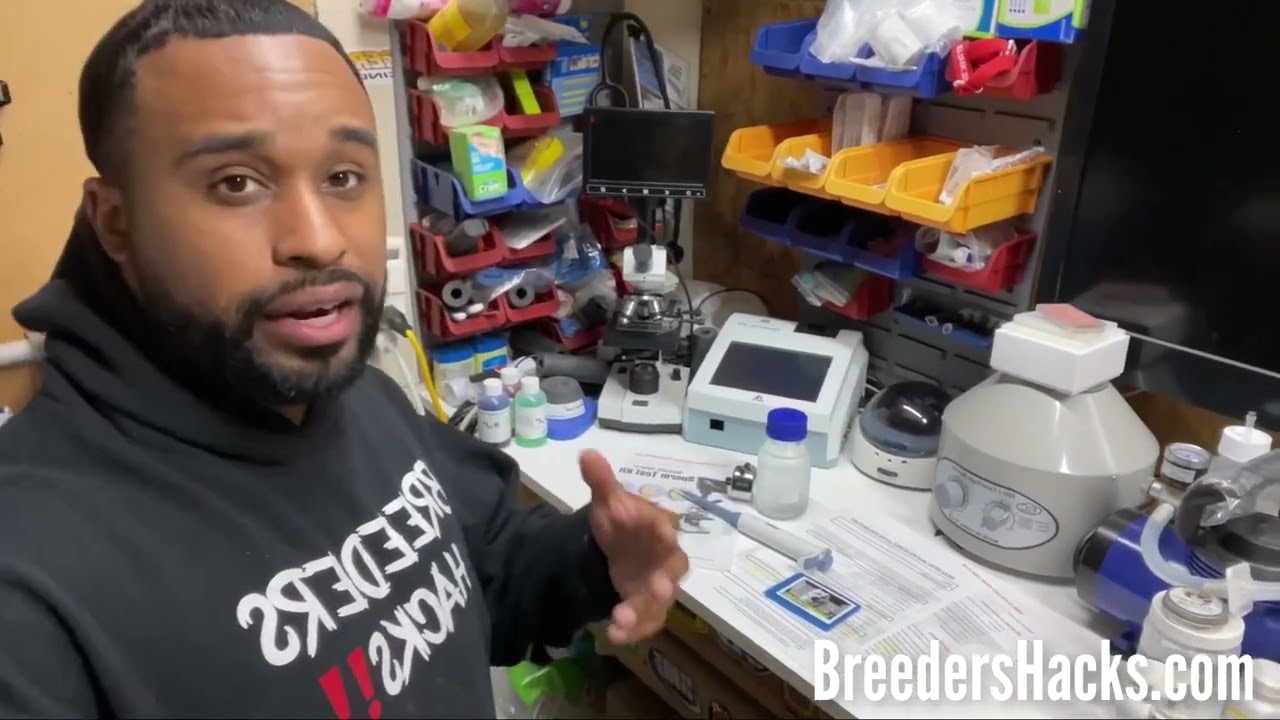 Canine semen evaluation done from home‼️🏠inexpensive test kit‼️
