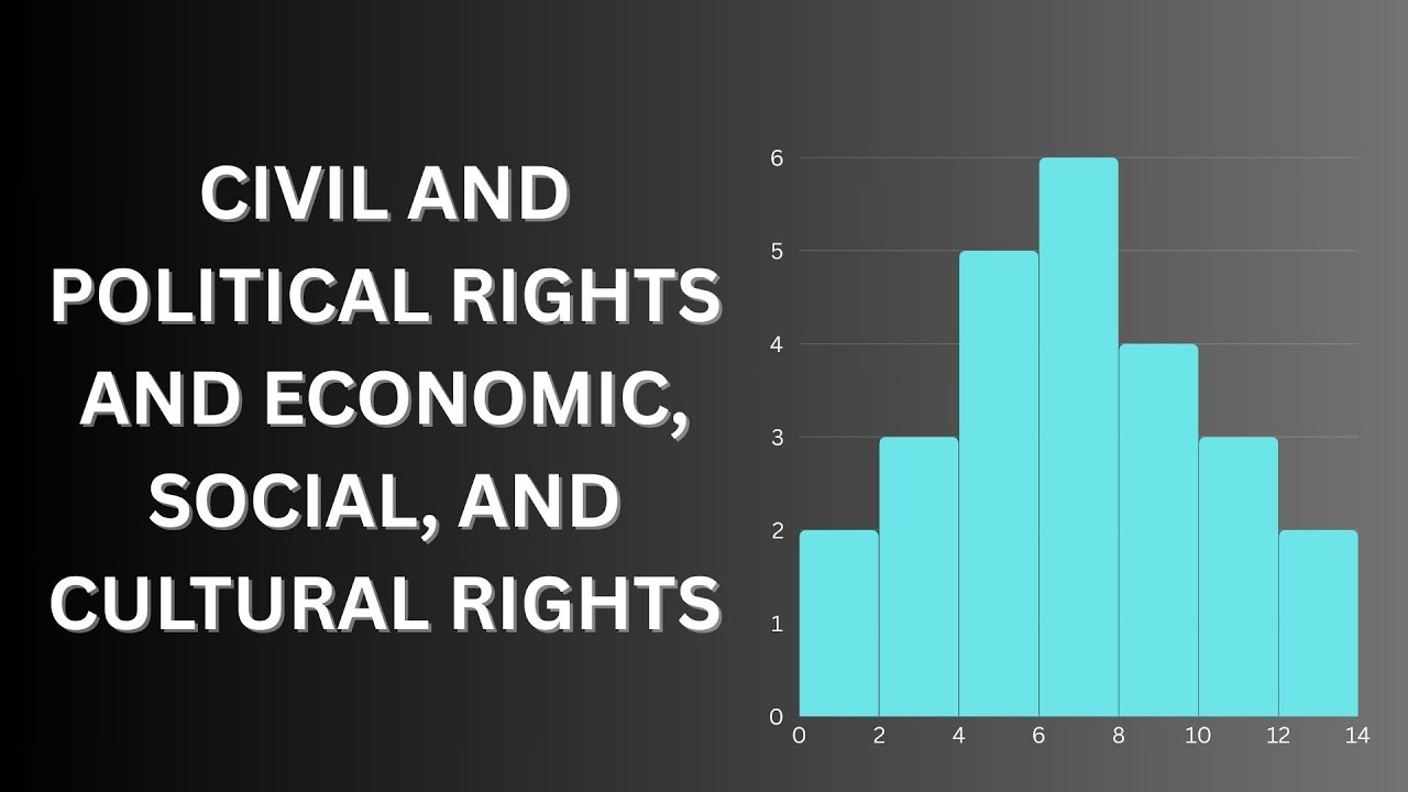 WHAT IS THE DIFFERENCE BETWEEN CIVIL AND POLITICAL RIGHTS AND ECONOMIC, SOCIAL, AND CULTURAL RIGHTS?