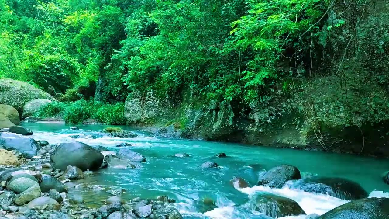 i '''''''Healing Nature Ambience, Beautiful Stream Through Green Forest, and Flowing Water