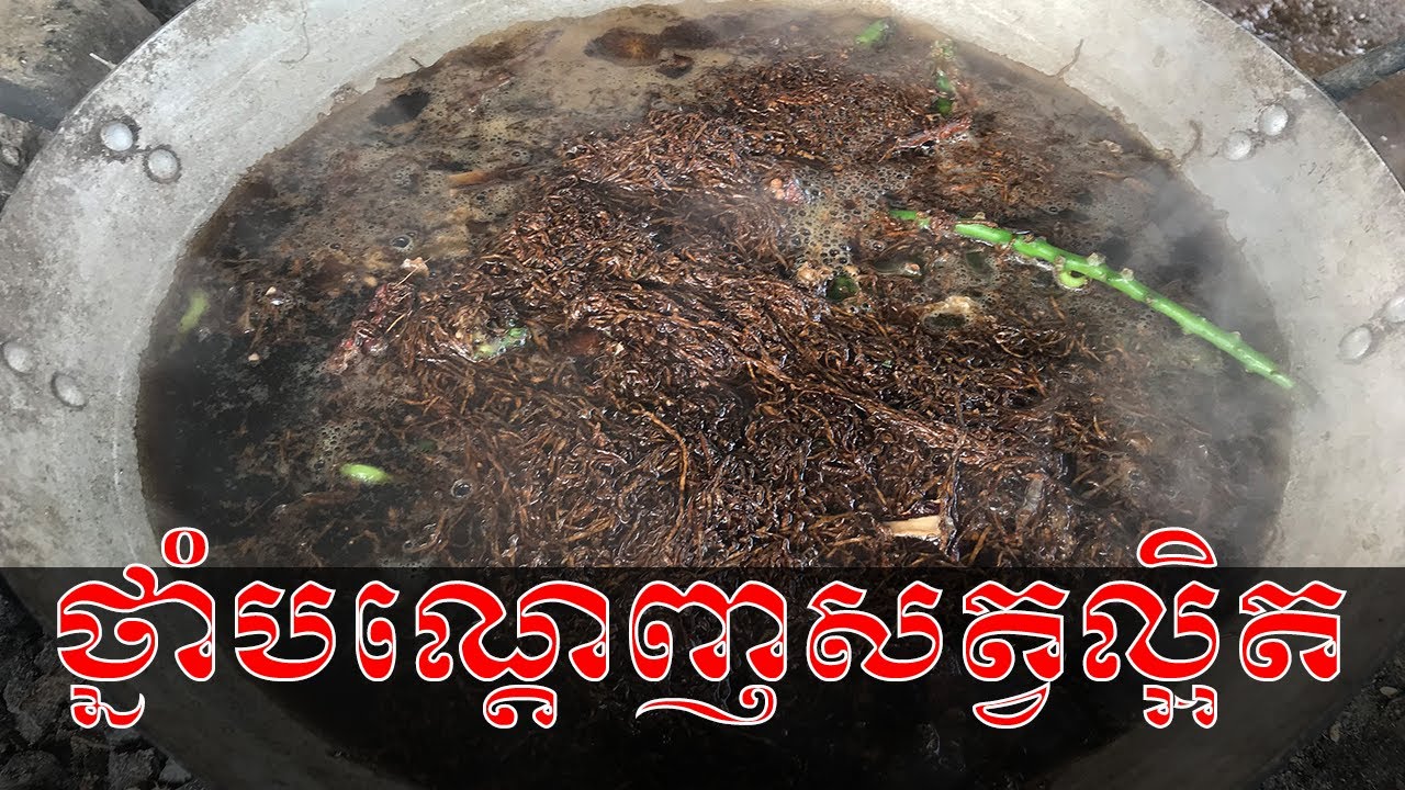 វិធីធ្វើថ្នាំពុលធម្មជាតិដើម្បីដេញសត្វល្អិត និងការពារដង្កូវ | How to make natural intersect repellant