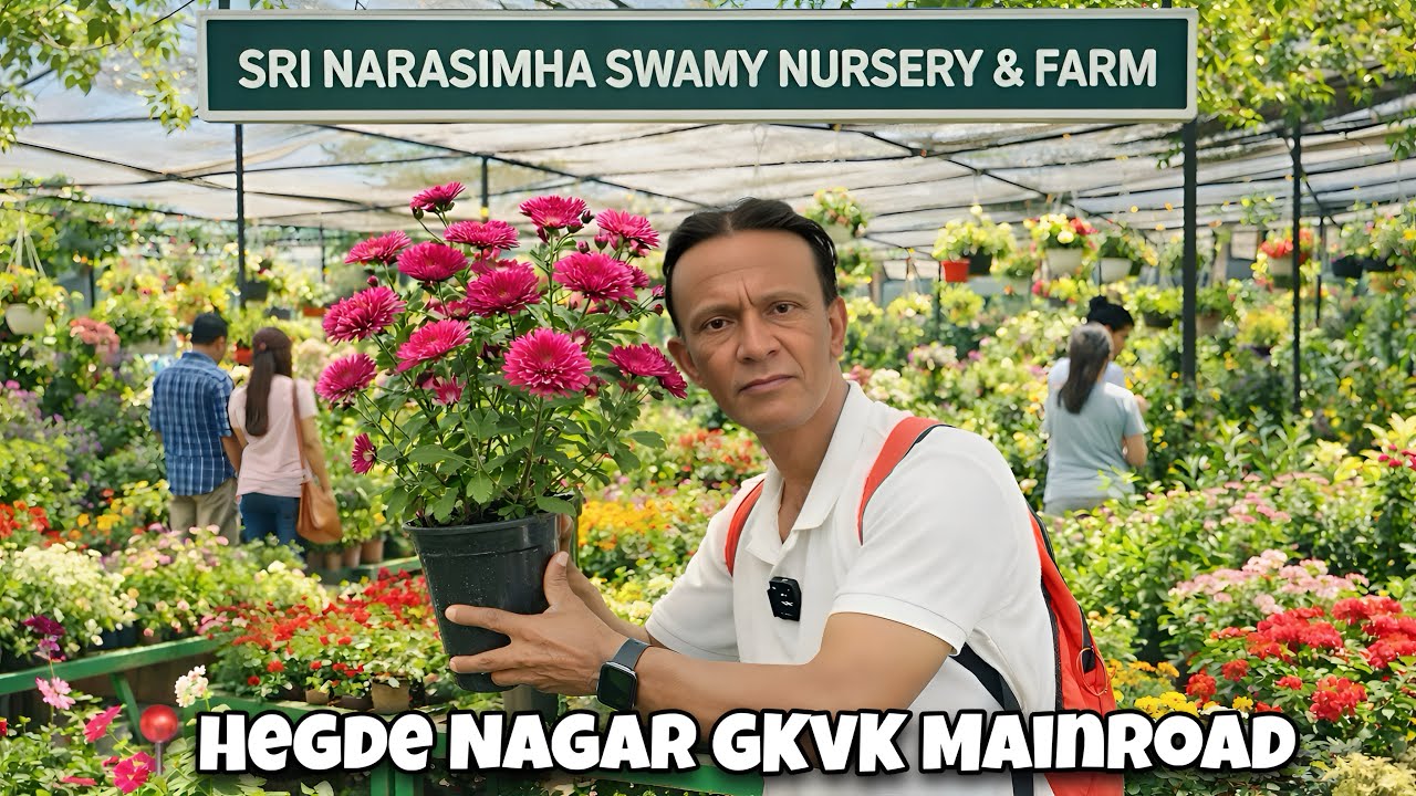 Bangalore’s Best Plant Nursery 😍 | Hegde Nagar Hidden Garden!