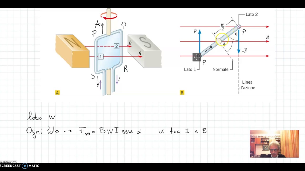 5 - Forze e campi magnetici 4: Azioni magnetiche su una spira percorsa da corrente