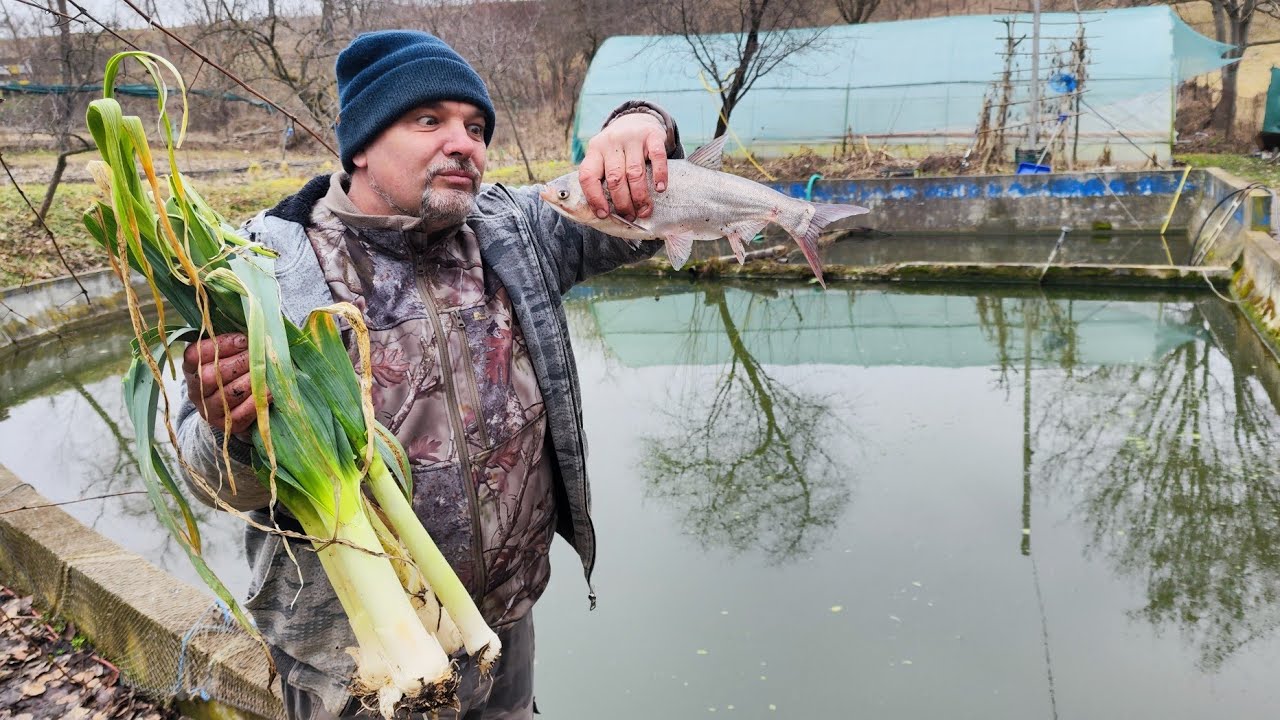 PEȘTE PE PAT DE PRAZ LA TAVĂ 🐬 LUCRĂRI DE SEZON ÎN SOLAR🌶️🍅🥬🍆