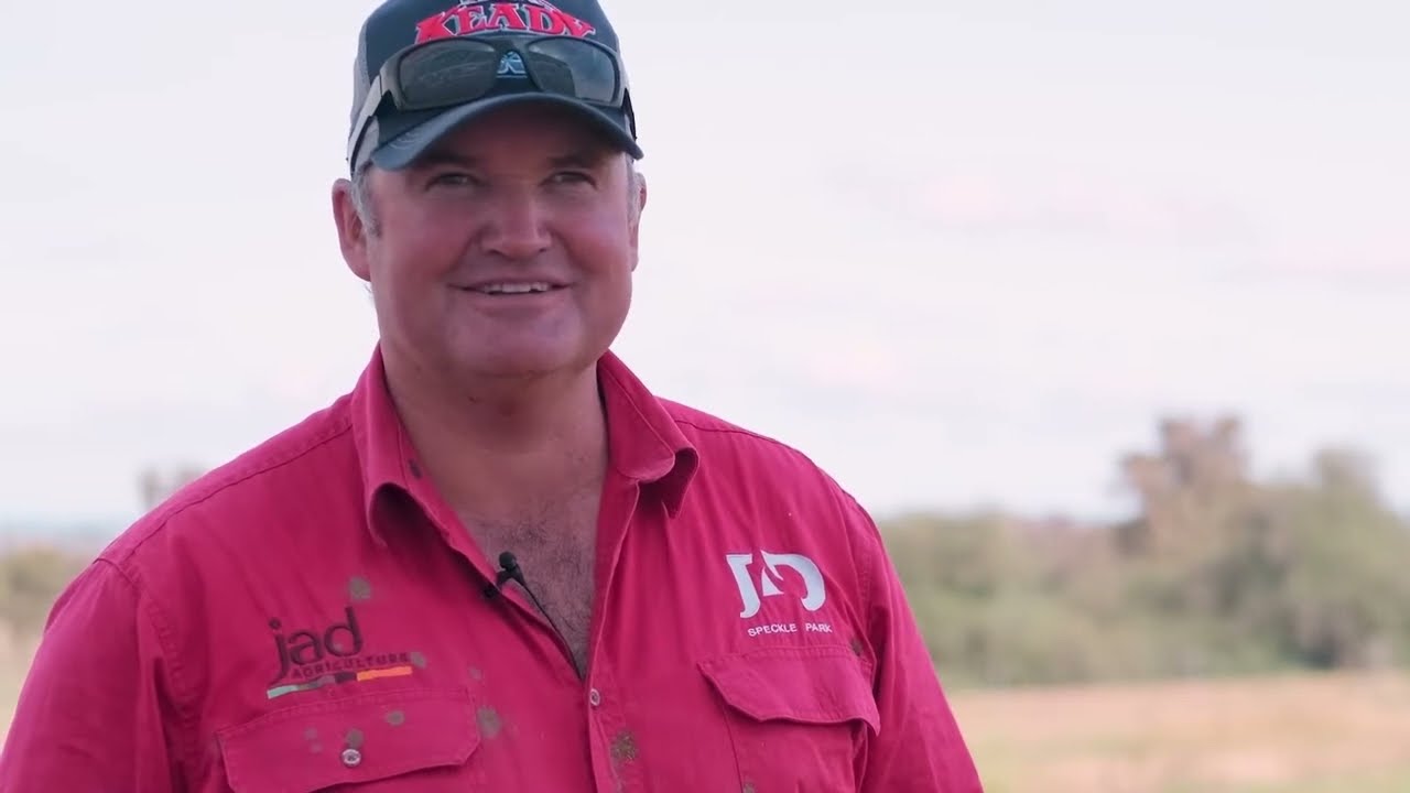 Te Pari Cattle Systems | Built to Last, Trusted by Australian Cattle Producers