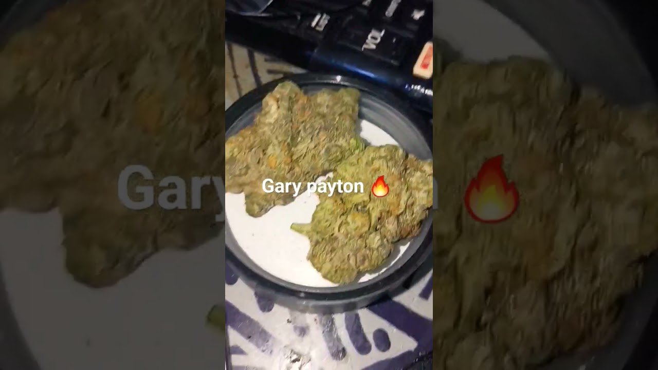 smoking on that 🔥 Gary Payton strain