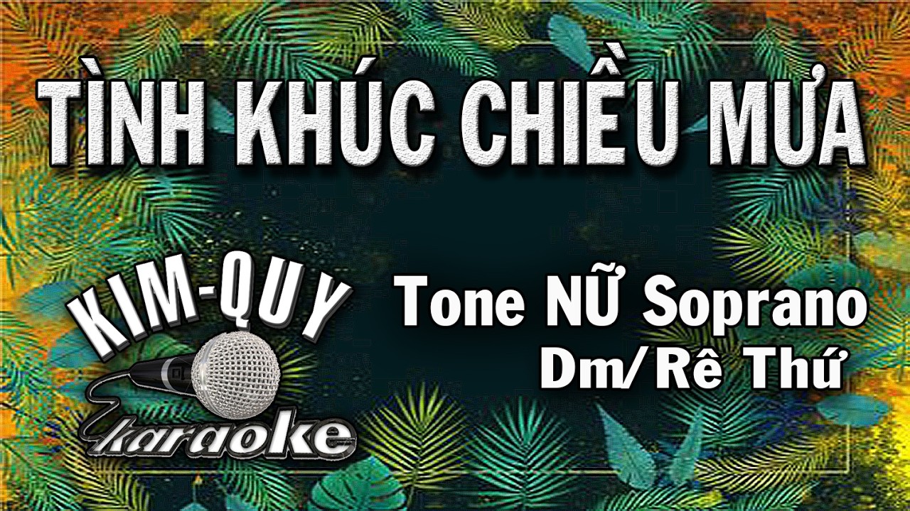 Karaoke TÌNH KHÚC CHIỀU MƯA (Nguyễn Ánh 9) Version 2026 - Tone NỮ (Dm/Rê Thứ) KIM QUY KARAOKE