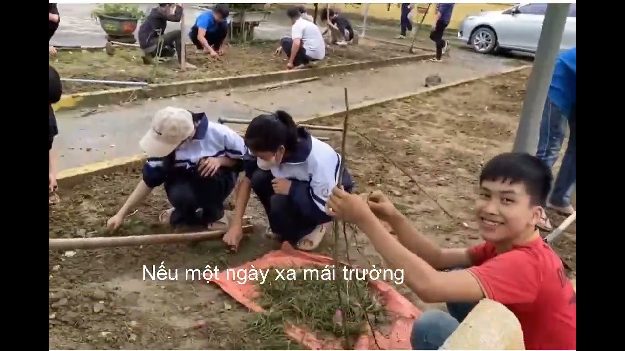 🎵 XUÂN VỪA GHÉ QUA(Ca khúc cảm hứng từ tinh thần “Mùa xuân chín”)