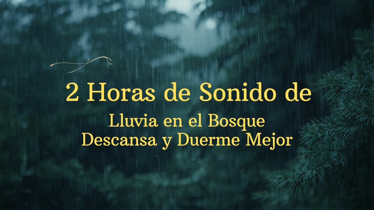 Lluvia Suave en el Bosque por la Noche | Sonidos Naturales para Dormir | Pantalla Negra