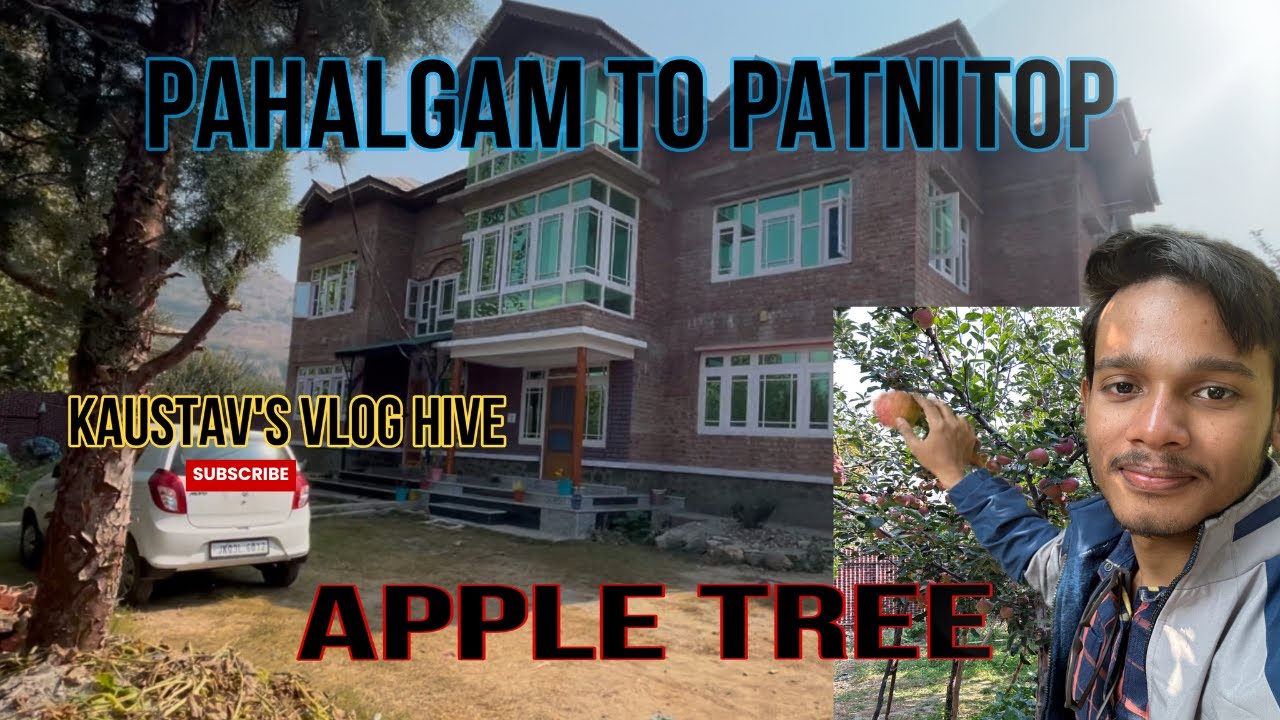 Apple Garden Pahalgam | Pahalgam to Patnitop roadtrip