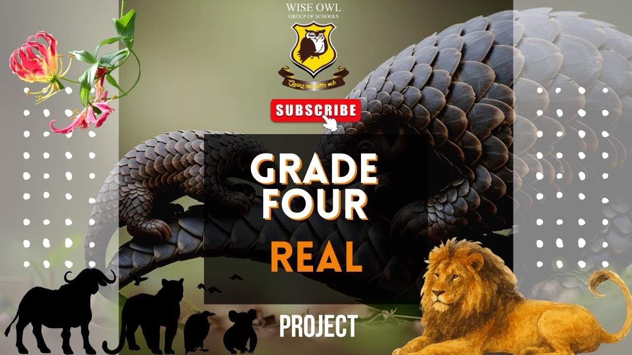 Walking in the Shoes of Fauna and Flora: Inspiring Conservation Action in Zimbabwe: Grade 4.
