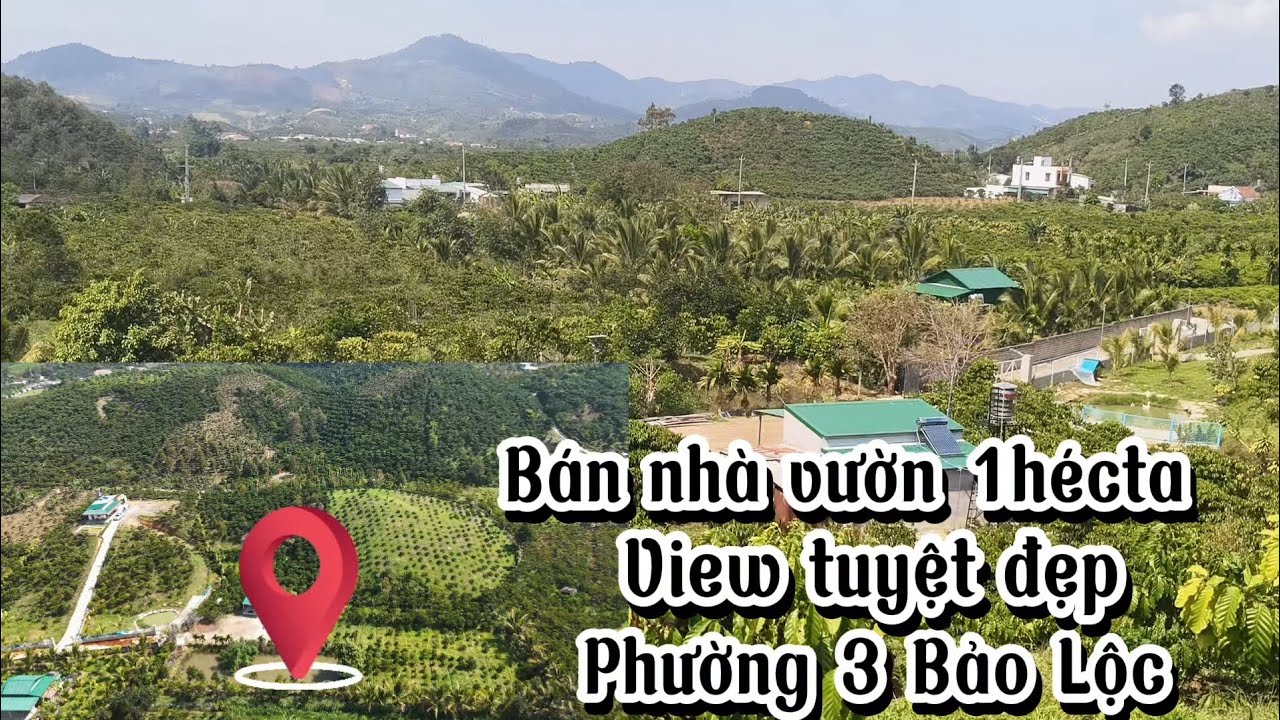 Bán nhà vườn, ao cá|| Diện tích 10432m2 sổ riêng|| View tuyệt đẹp, đường xe hơi tận nơi 