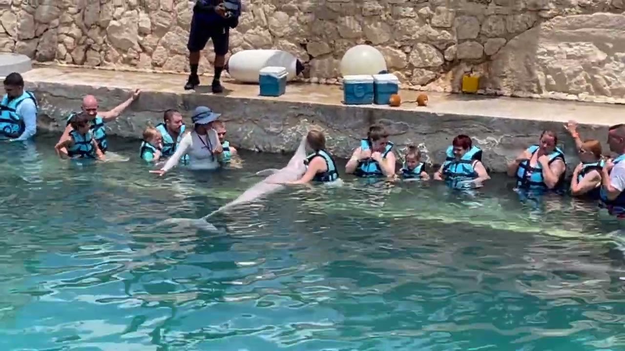Dolphinaris Kaylee & Sylvie Aug 2025 HD