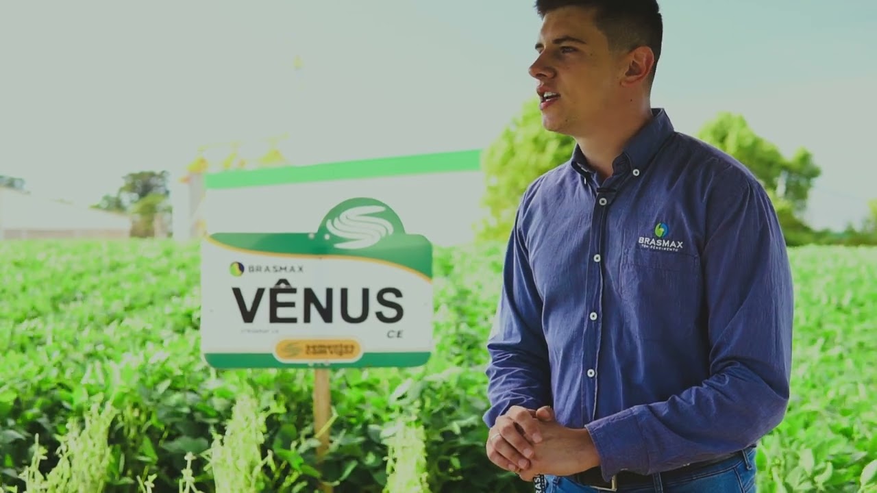 BMX Vênus | SEMENTES COM VIGOR