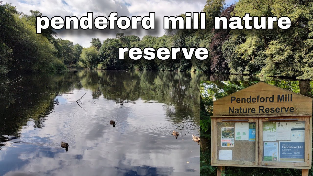 pendeford mill nature reserve - Wolverhampton - walking video