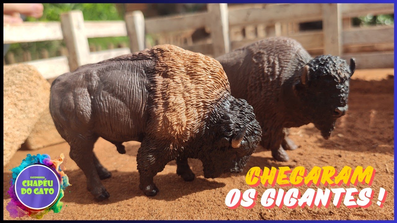 INCRÍVEL NOVO BISÃO Na Fazendinha! Soltamos a Fêmea no Curral