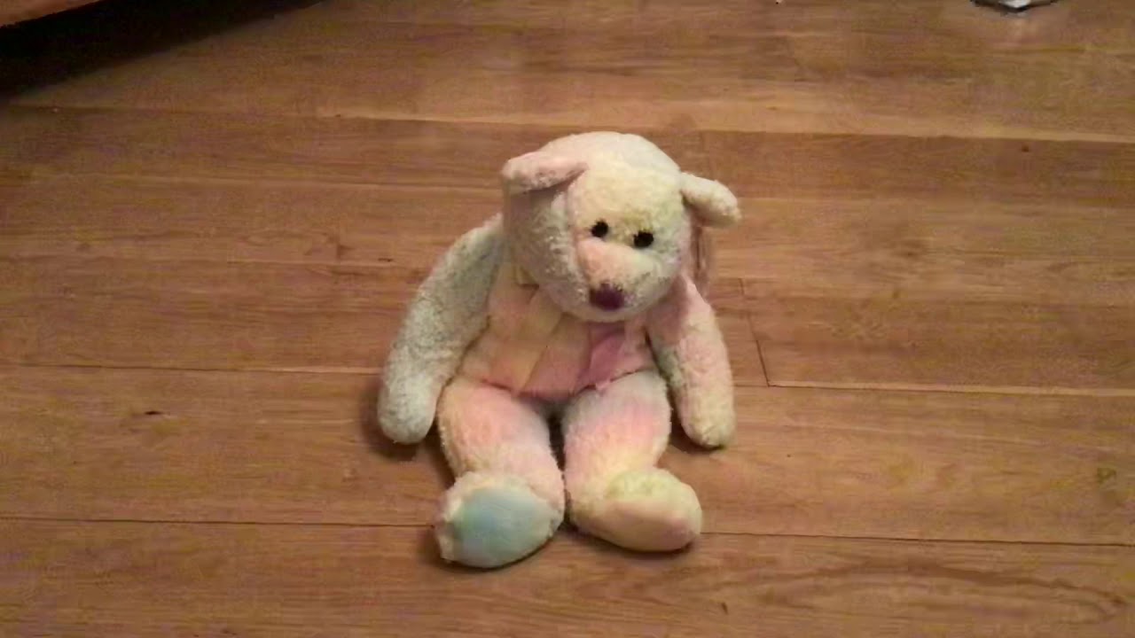 Groovy TY Beanie Buddy Bear