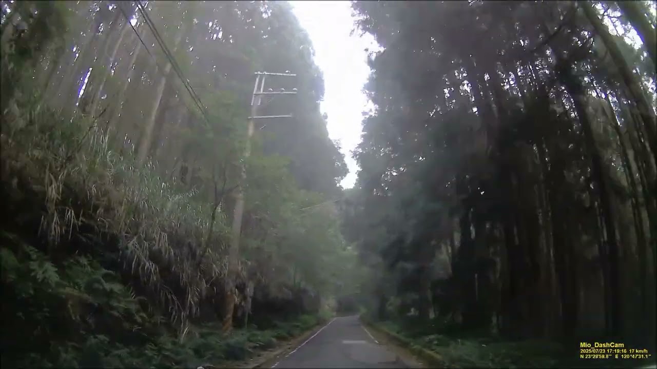 嘉義縣阿里山鄉 二萬平停車場(阿里山青年活動中心) 往 阿里山國家森林遊樂區