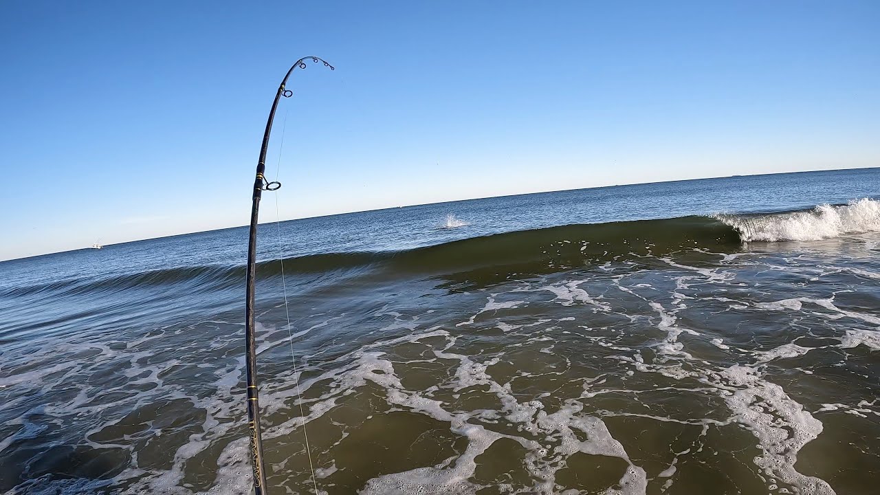 Fun day striper fishing at the Jersey shore November 2022