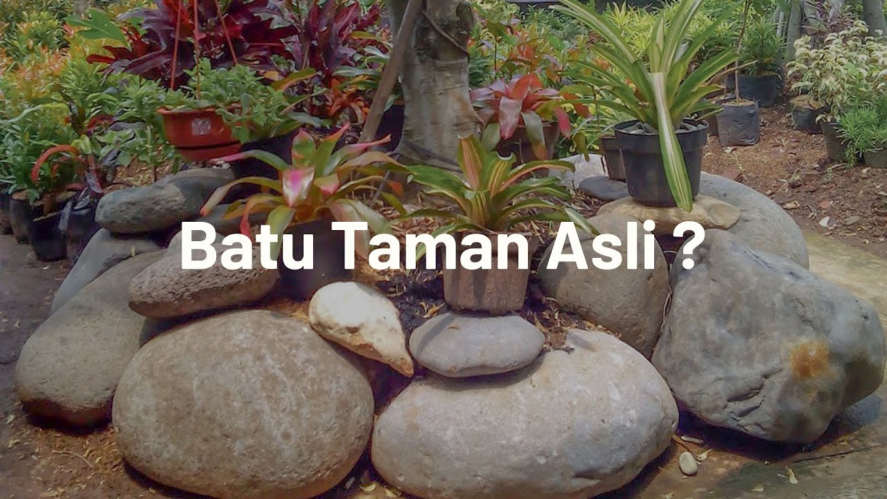 [Banyak Pilihan] Aneka Batu Taman Minimalis | BATUALAMJAKARTA