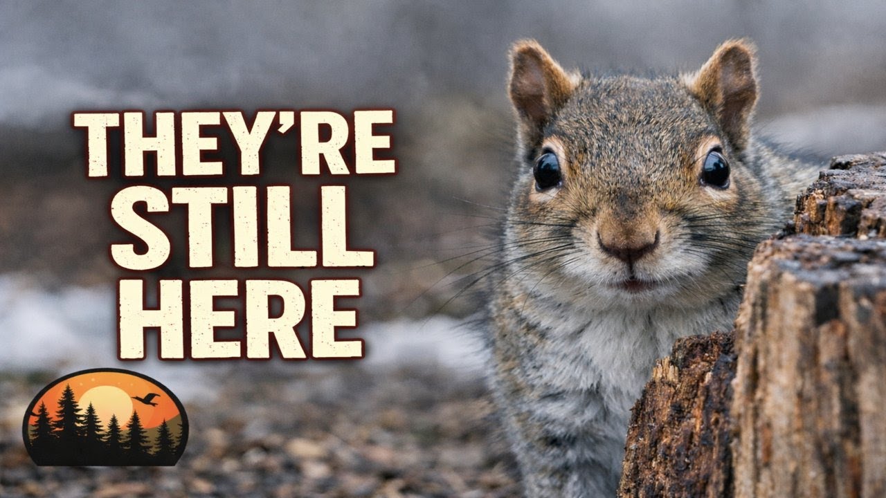 Stay Cozy & Watch the Wildlife as the Storm Hits