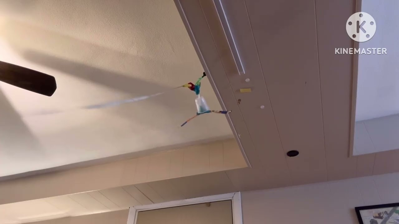 Ceiling fan falling in soapy water