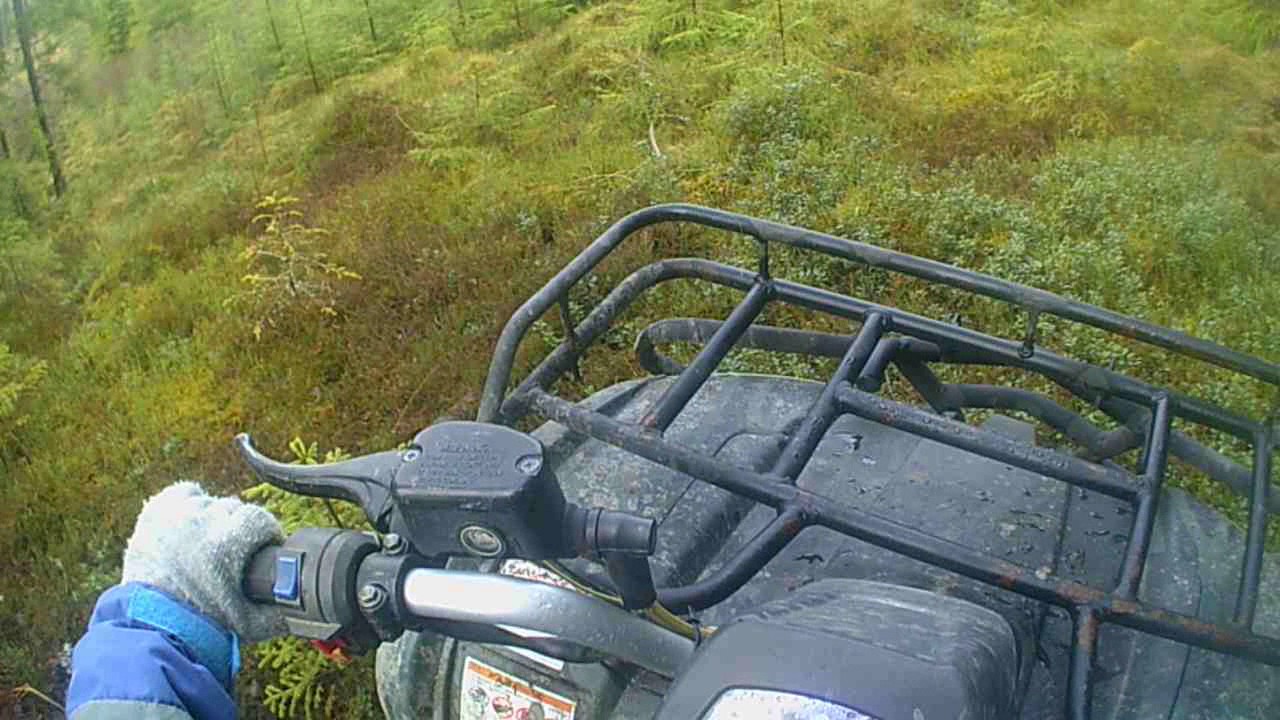 Kör fyrhjuling i skogen