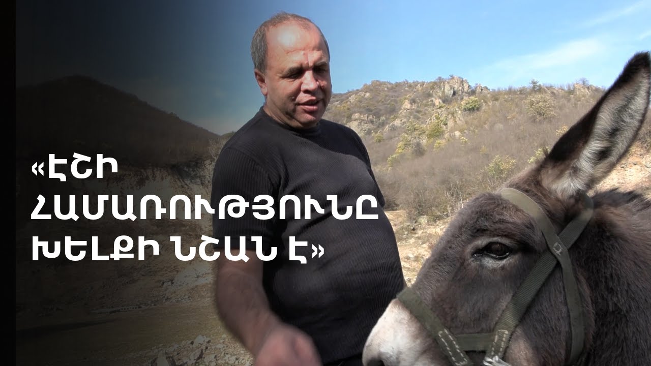 «Էշը գիտի՝ նուշն ինչ է». պաշտոնավոր ավանակների «Պարկեշտ» ֆերմա՝ Ախթալայում