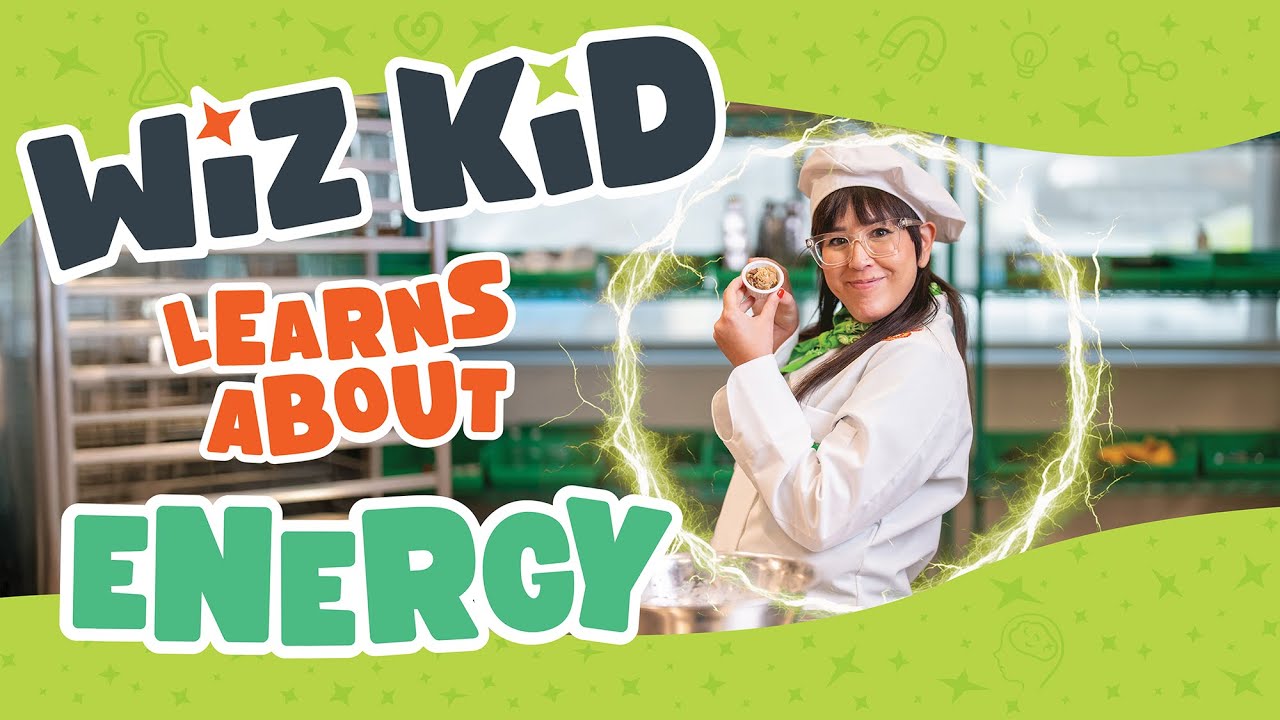 Energy: How many types are there? How do our bodies use food for power?