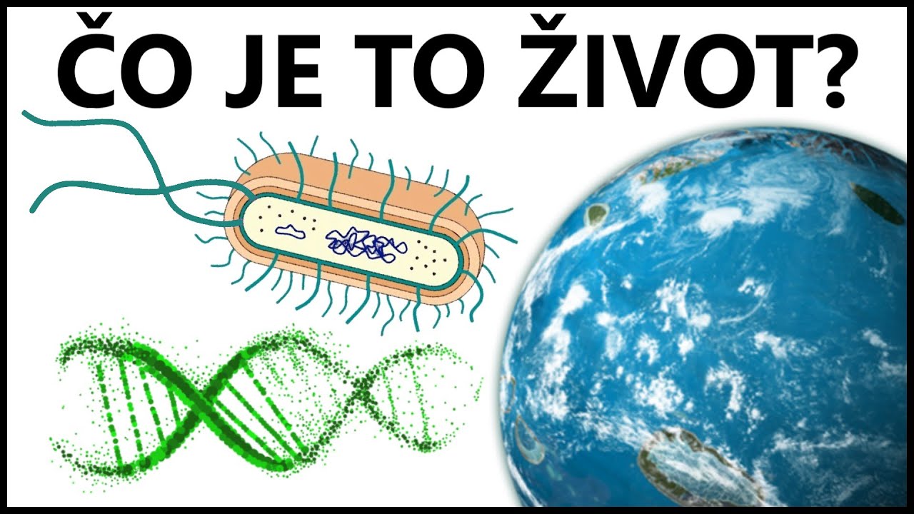 Ako by vyzeral mimozemský život? | Čo je to vlastne život?