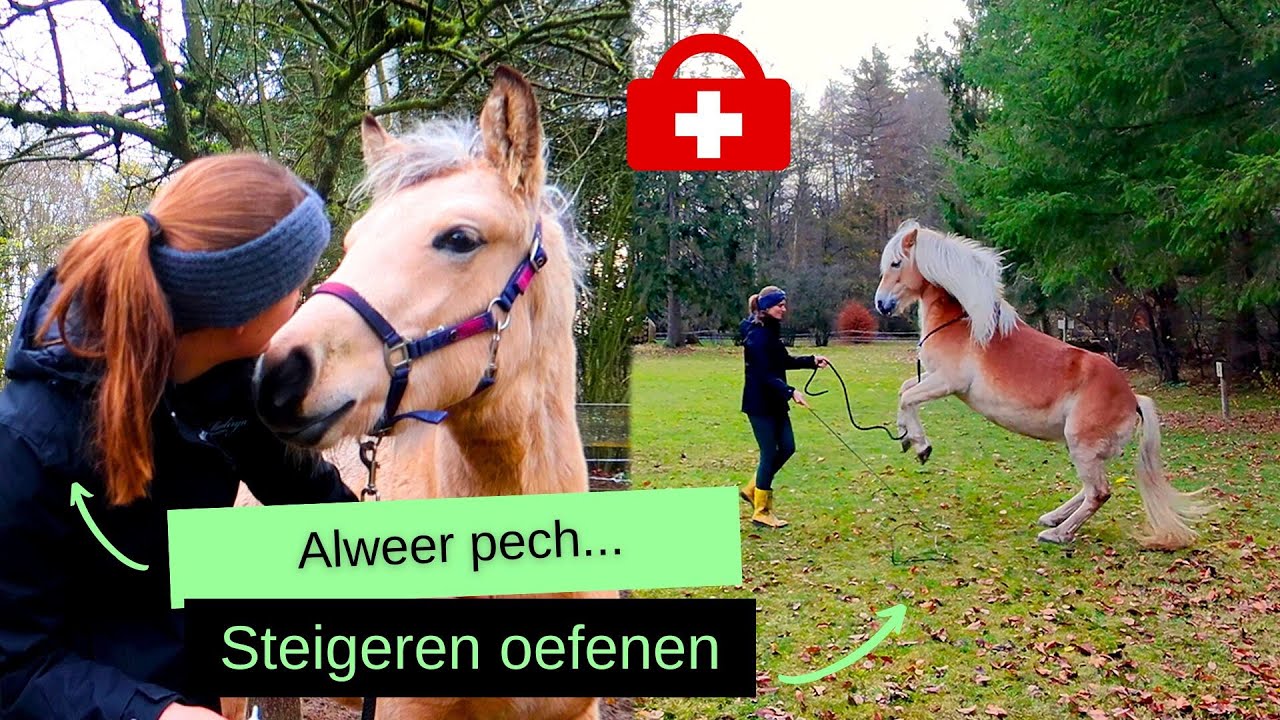 Kayenta heeft weer PECH & STEIGEREN oefenen met Ravenna | BROVENNA | VLOG #162