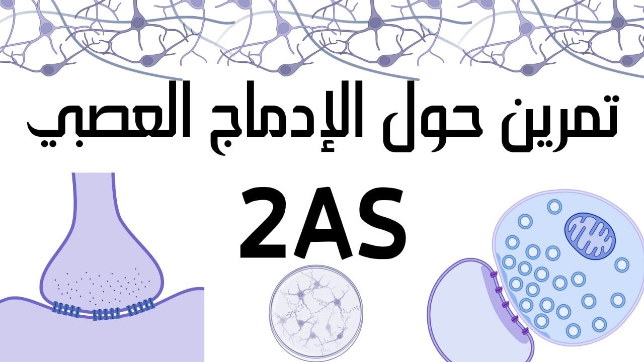 تمرين  حول التنظيم العصبي ثانية ثانوي شعبة علوم تجريبية ✅الإدماج العصبي 😍🔥💯💯