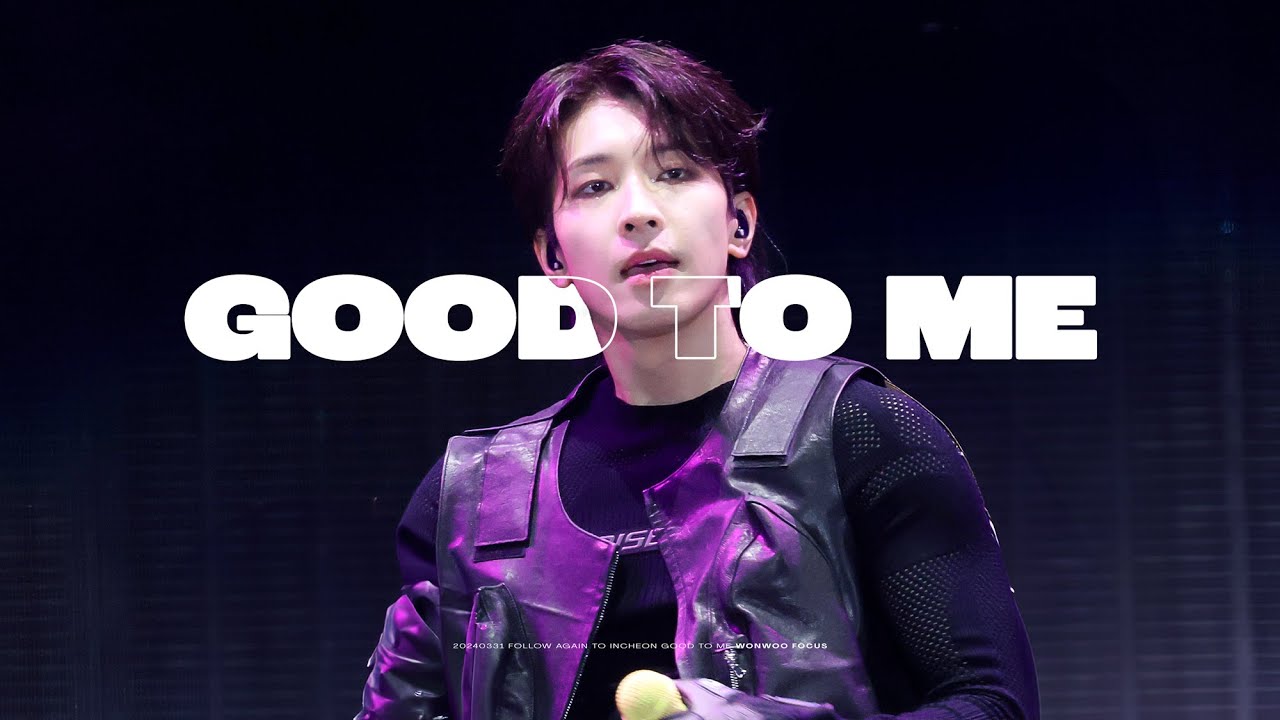 240331 세븐틴 SEVENTEEN FOLLOW TO INCHEON - GOOD TO ME - 원우 직캠 WONWOO FANCAM