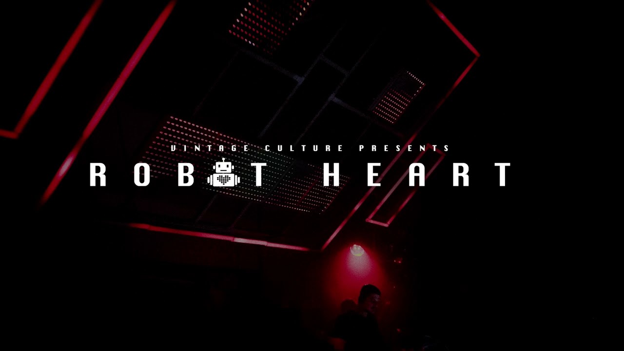 Vintage Culture @ Robot Heart 2024, Burning Man Residency