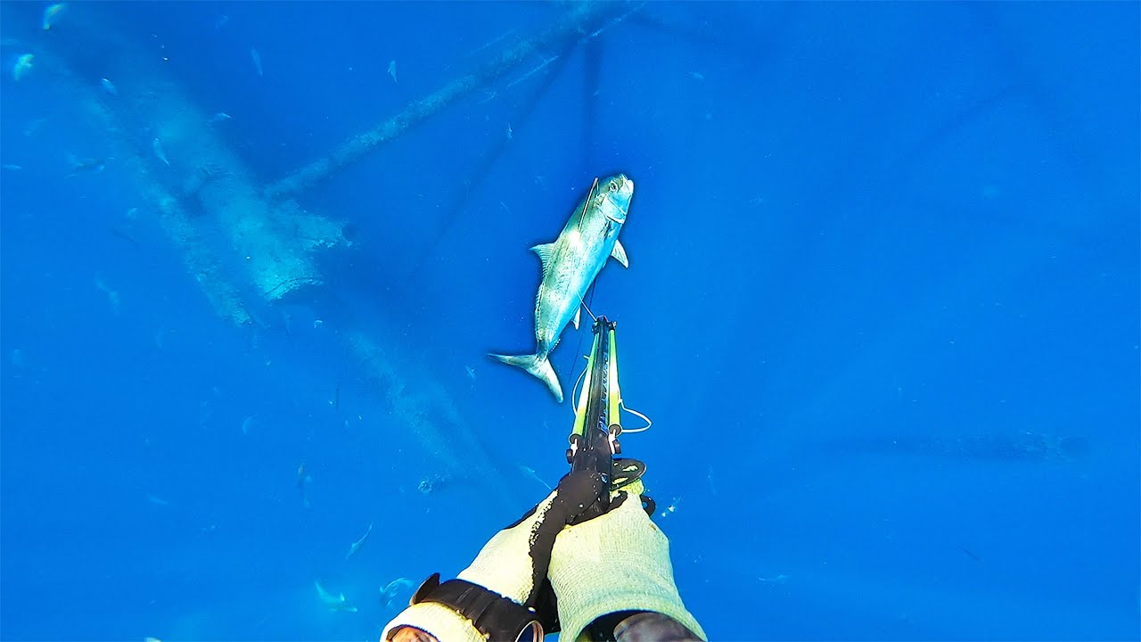 SPEARFISHING Offshore Oil Rigs for BIG Fish! (Gulf of Mexico!) PERSONAL BEST BROKEN!!!