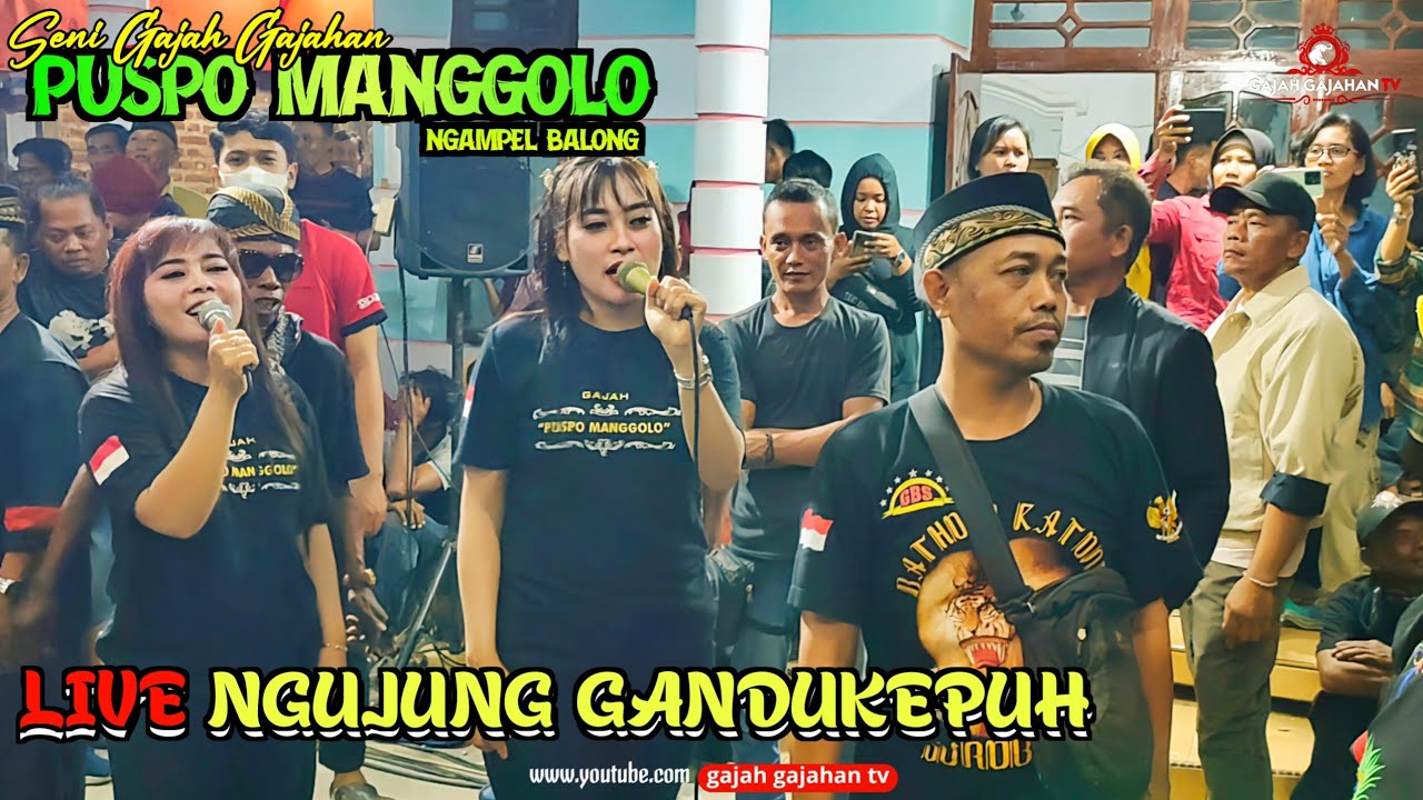 HOREG LURR ❗ GAJAH GAJAHAN PUSPO MANGGOLO NGAMPEL GEMPARKAN DESA NGUJUNG GANDUKEPUH