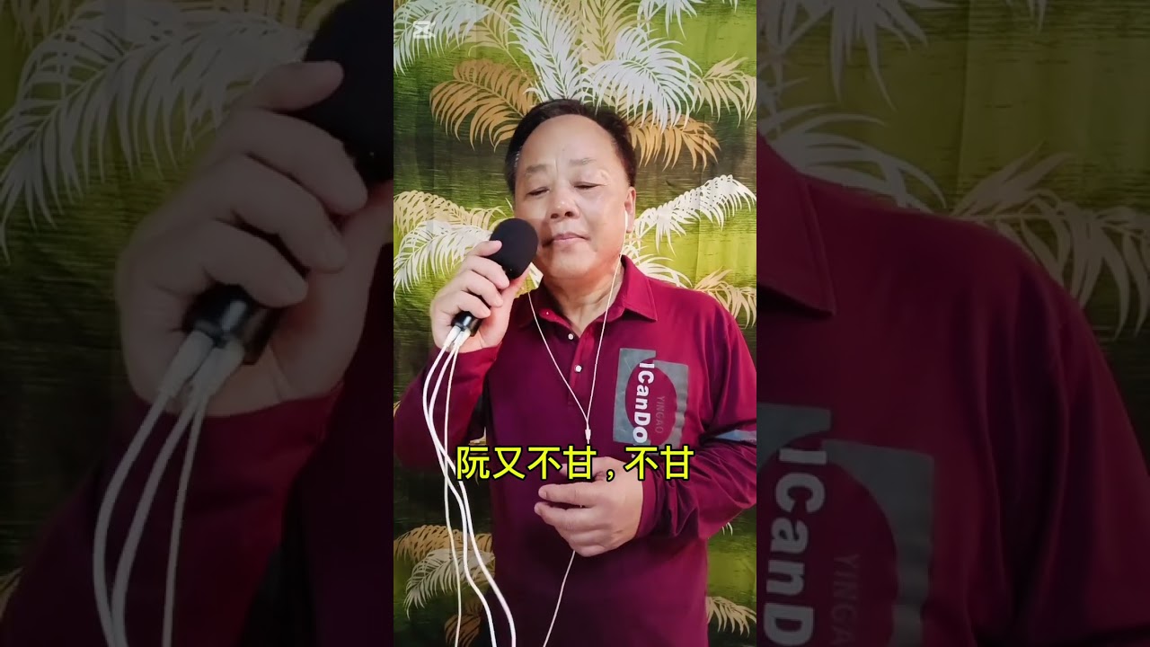 進退兩難// 方瑞娥// 翻唱： 蔡永富
