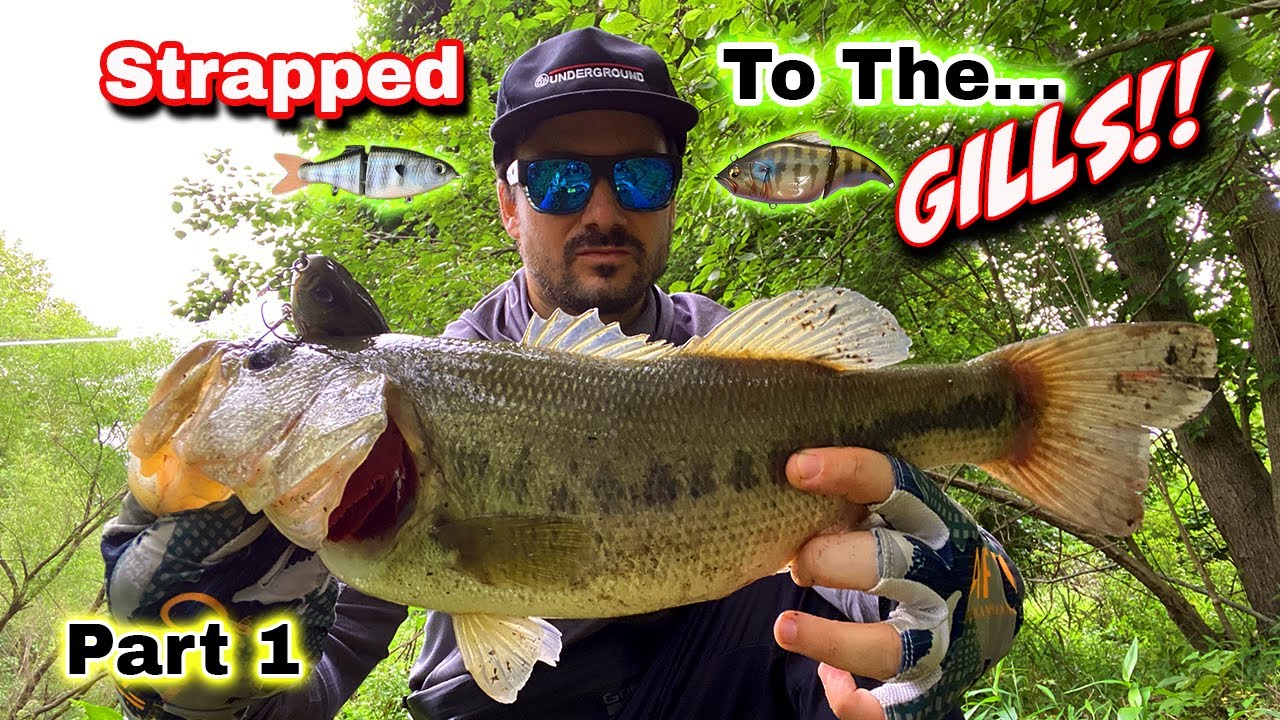 Strapped to the GILLS (Part 1) - Featuring the Megabass Vatalion 115 and the FOM Glide6!!!
