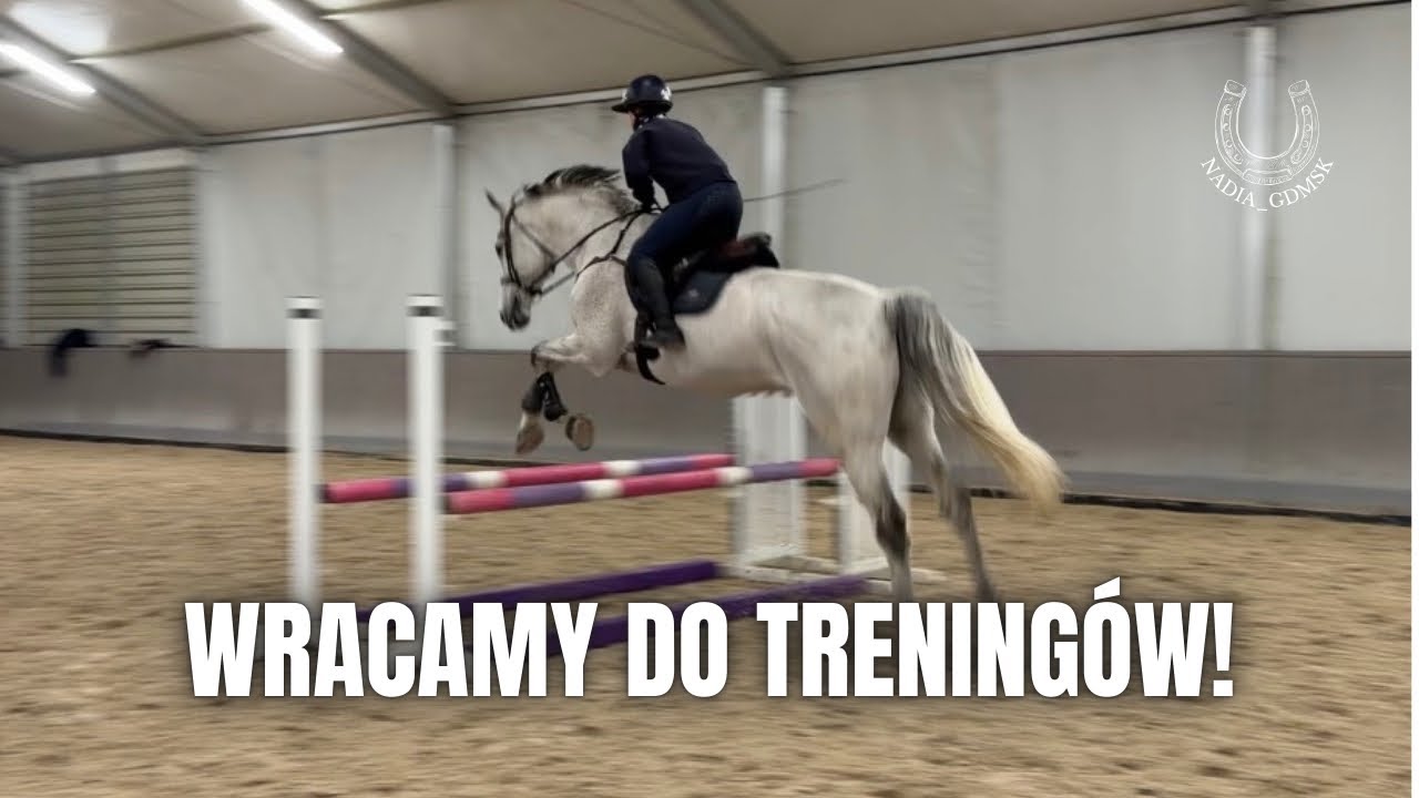 WRACAMY DO TRENINGÓW! 