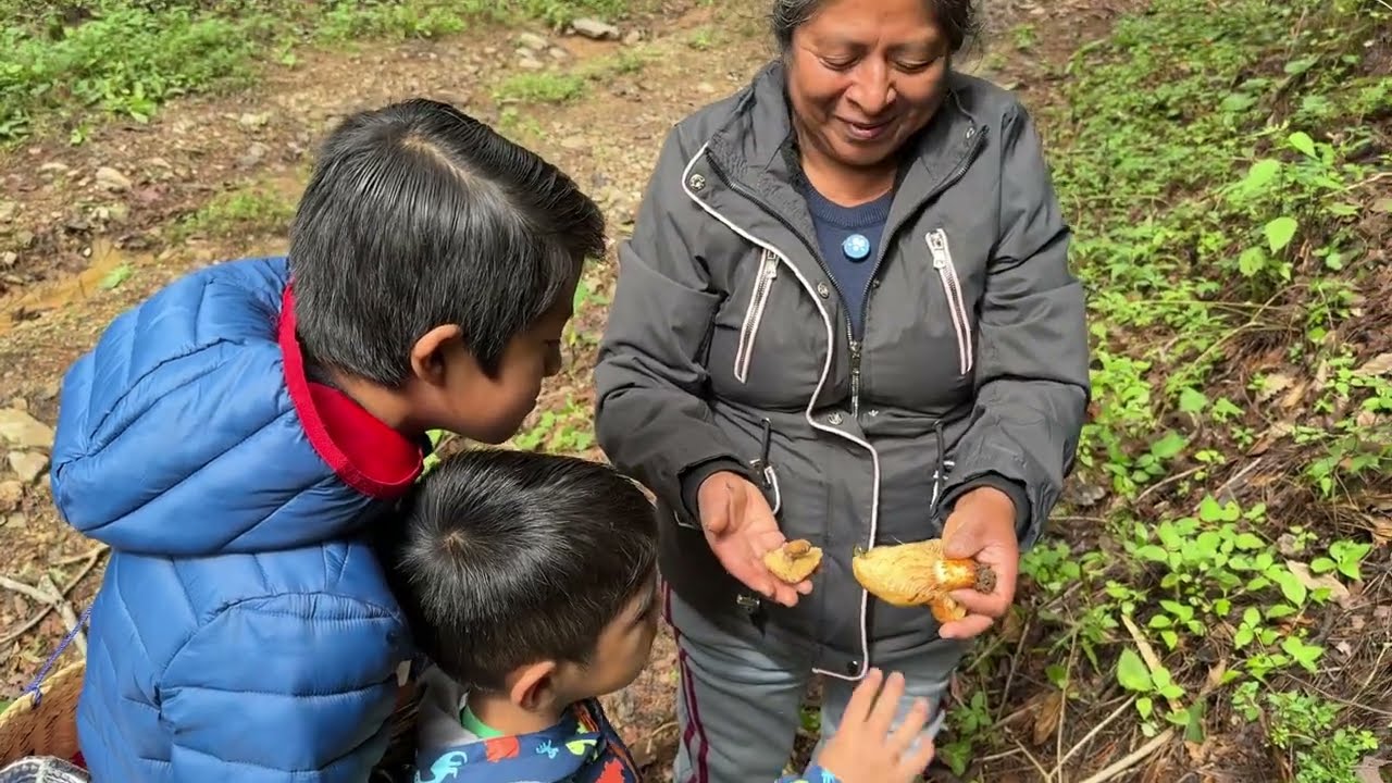 Los Hongos de Nuestra Tierra: Los Hongos del Pueblo que Nos Vieron Crecer