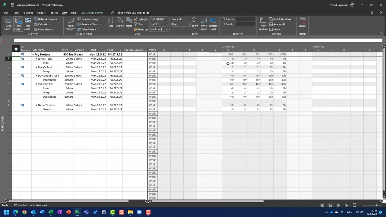 29.  The Work - Microsoft Project Online Desktop Client
