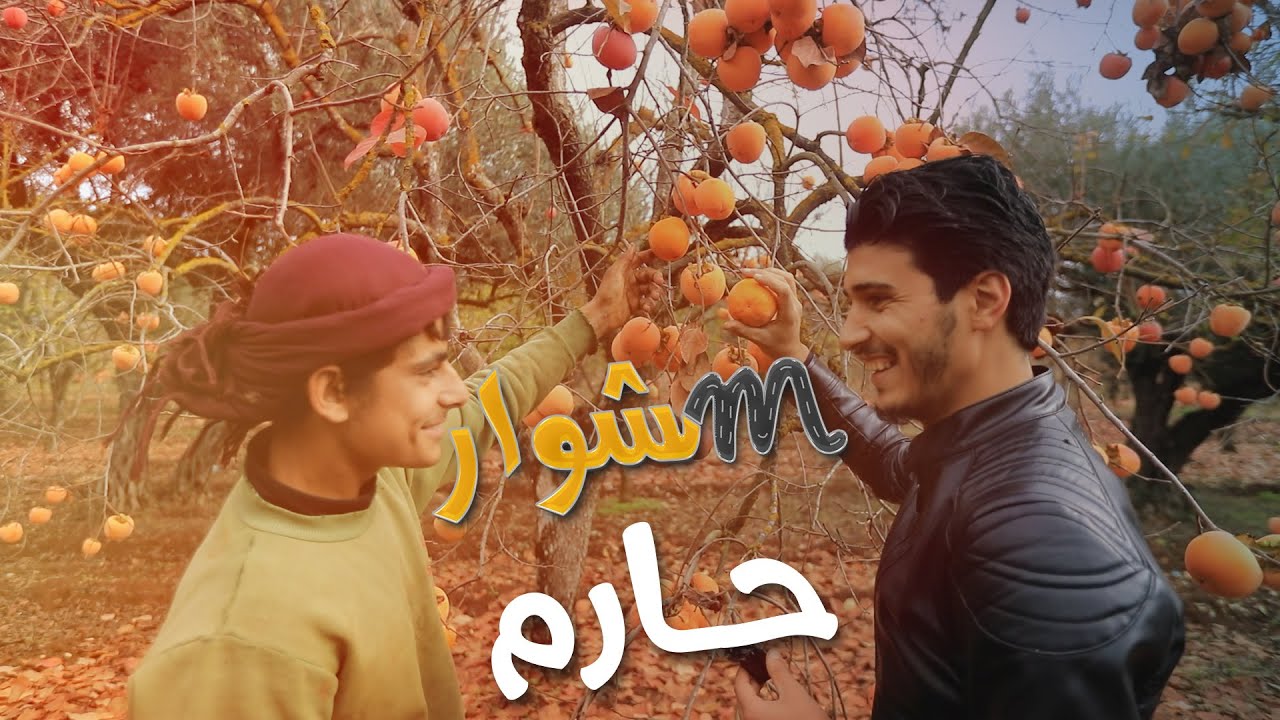 مشوار حارم