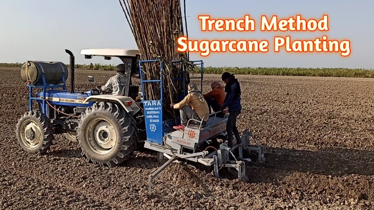 Trench Sugarcane Planter   ट्रेंच गन्ना बोने की मशीन