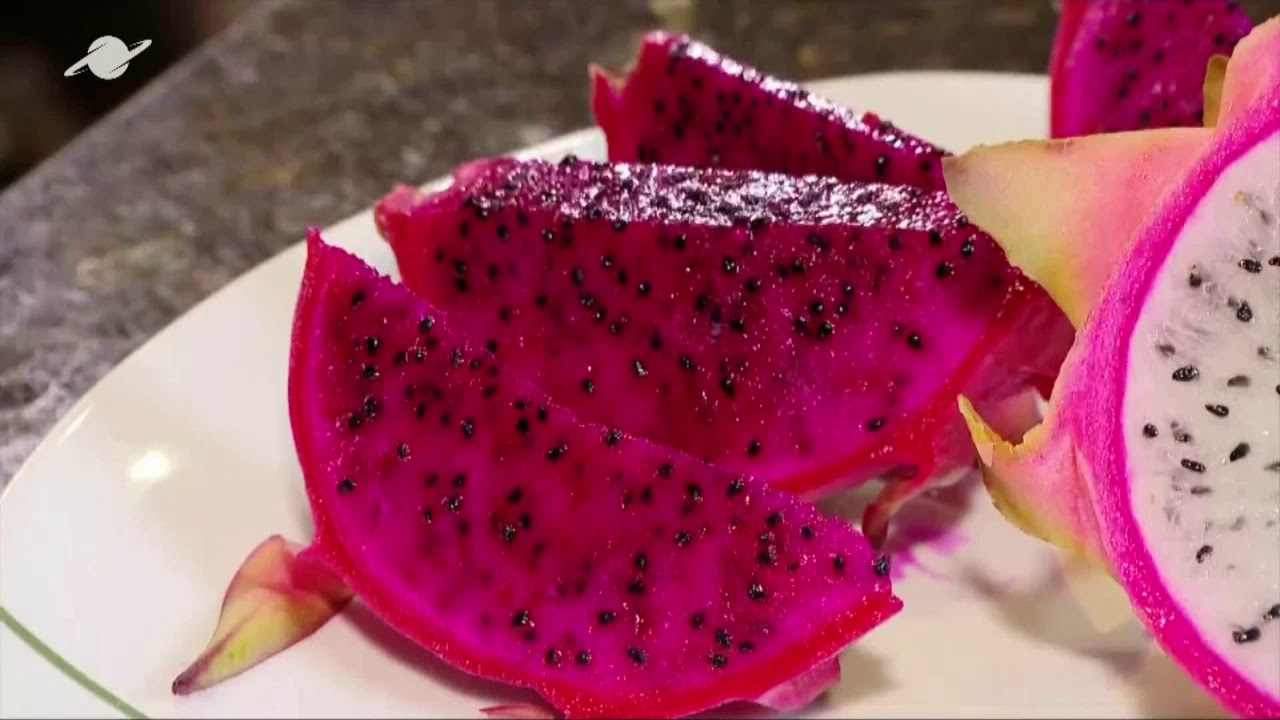 Norte Rural Produção de Pitaya em Porto Velho