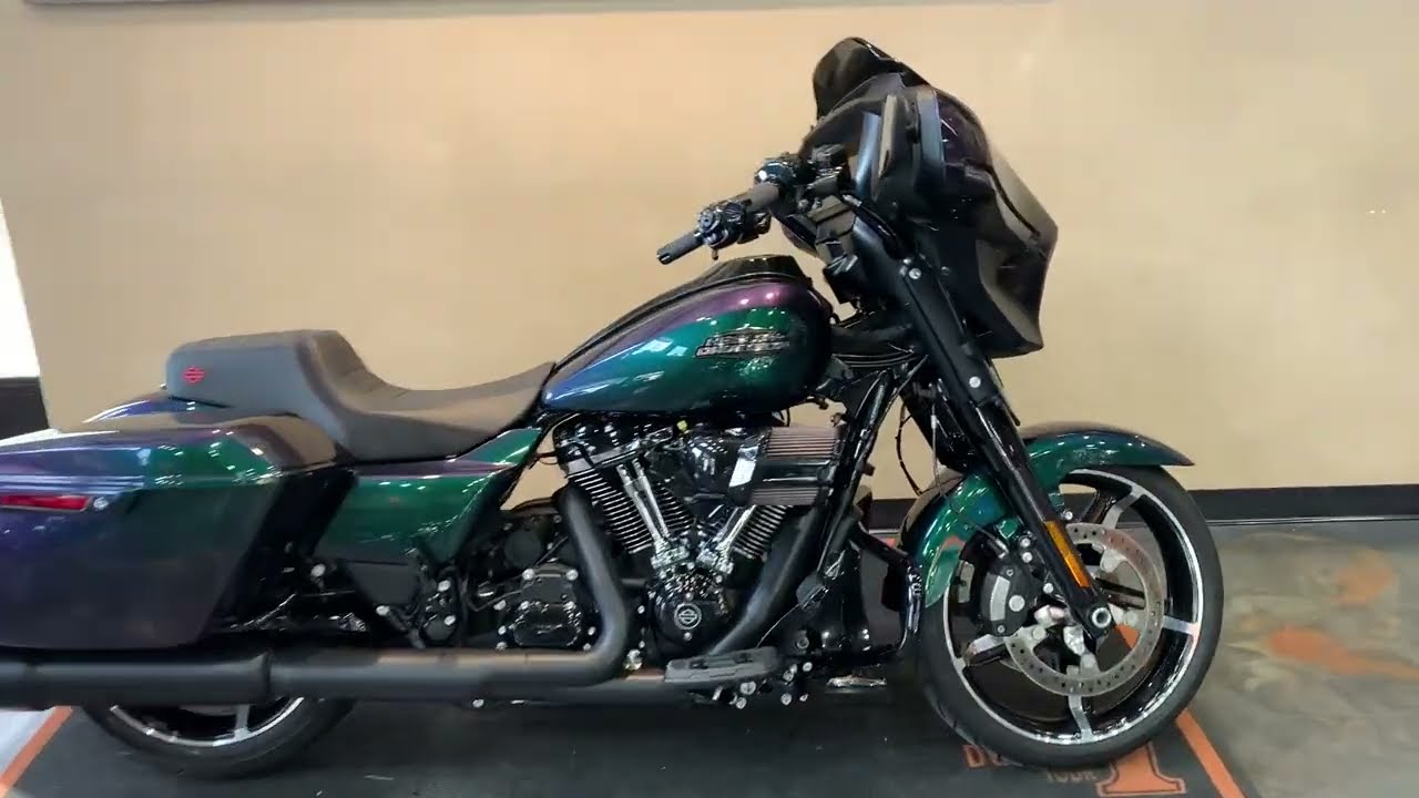 CUSTOM PAINTED! 2024 Harley-Davidson Street Glide in Custom Snake Venom-FLHX