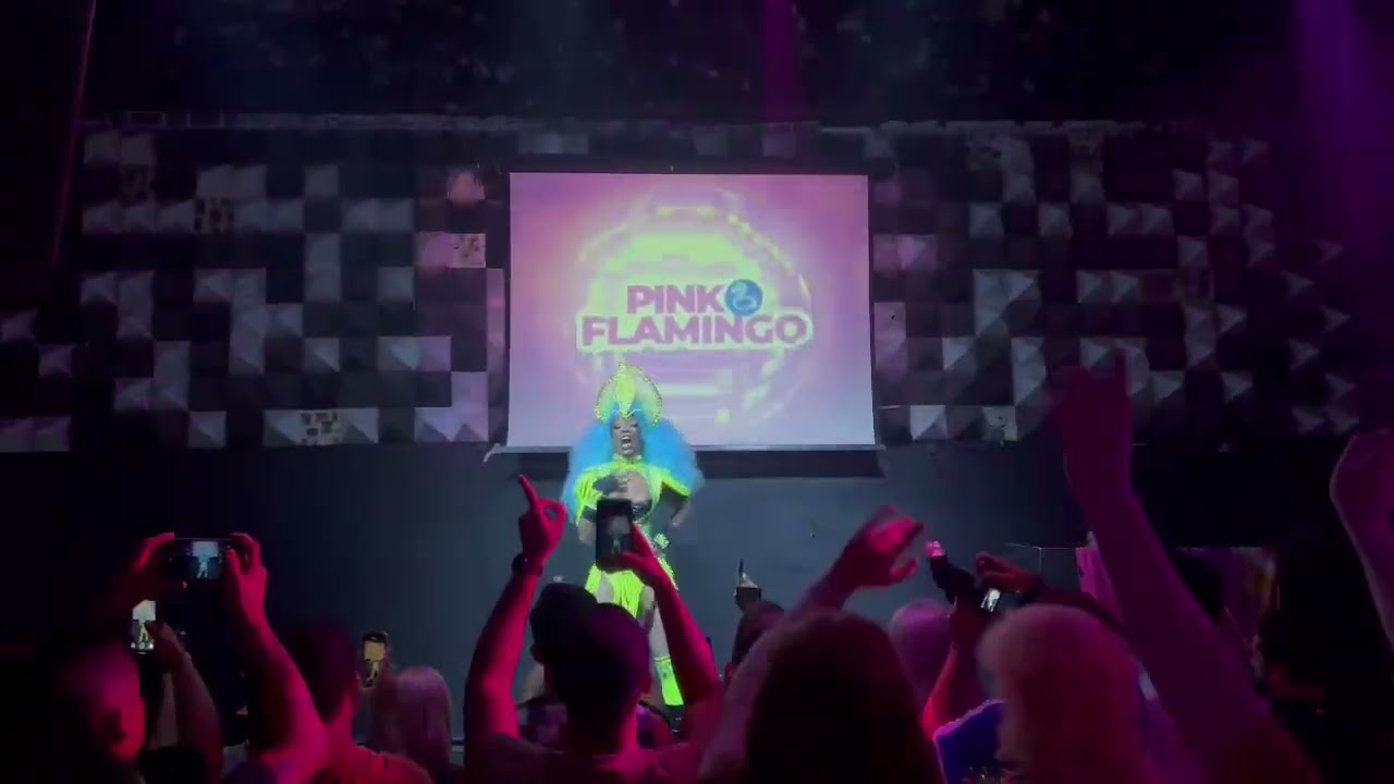 Mellody Queen - Coytada Lin Da Quebrada - PINK FLAMINGO SP