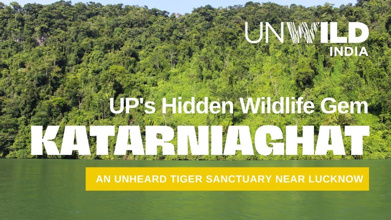 A Hidden Wildlife Gem | Katarniaghat Wildlife Documentary Film | English