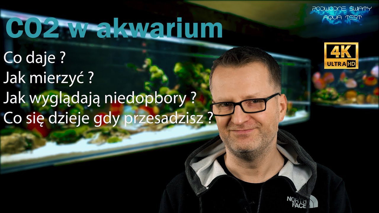 Co2 w akwarium. Co daje. jak mierzyć. Jak wyglądają niedobory. Co się dzieje, gdy przesadzisz.