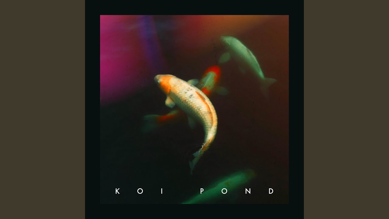 Koi Pond